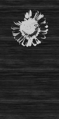 DIG_1007_3000x1300_1zu10_sw